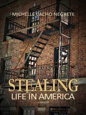 cover image of Stealing